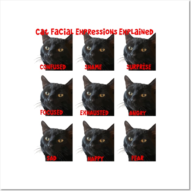 Cat Facial Expressions Explained Chart Cut Out Cat Humor Posters